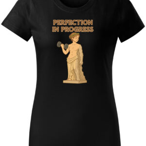 Perfection in Progress